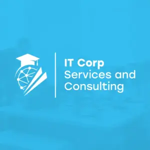IT Consulting Services